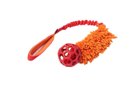 Bungee dog toy with mop and JW S ball
