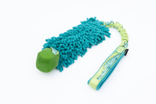 WILD RUMLA Bungee toy with Mop and Chuckit! Erratic M ball